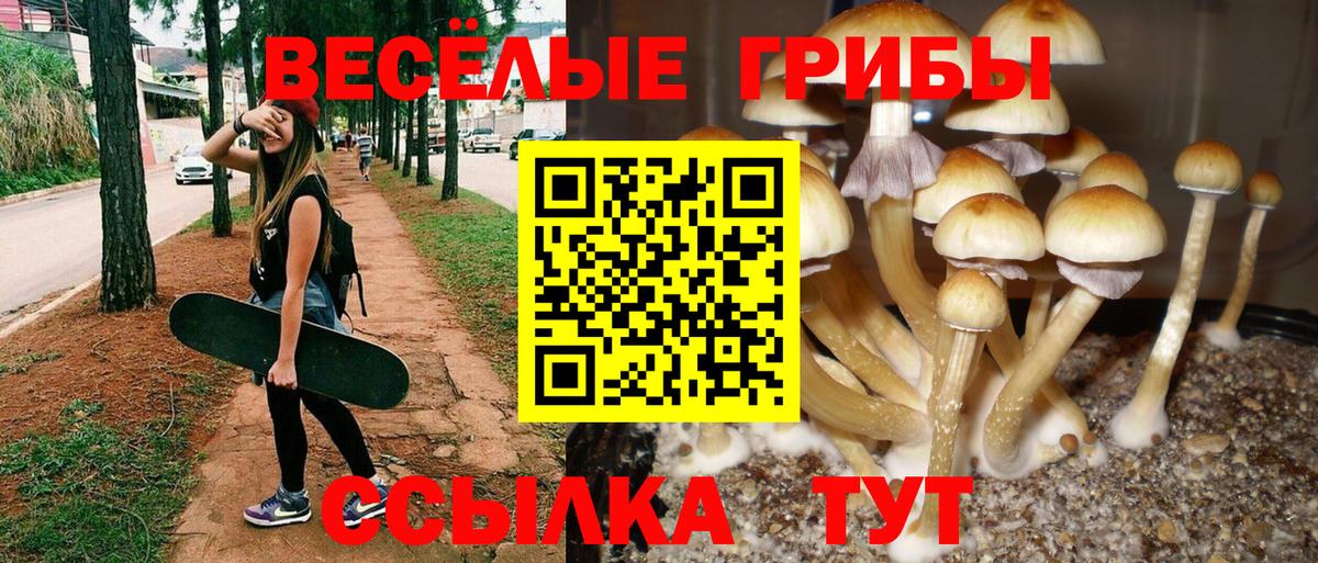 Галлюциногенные грибы MAGIC MUSHROOMS  Галлюциногенные грибы Psilocybe  Вход с VPN  Лянтор 